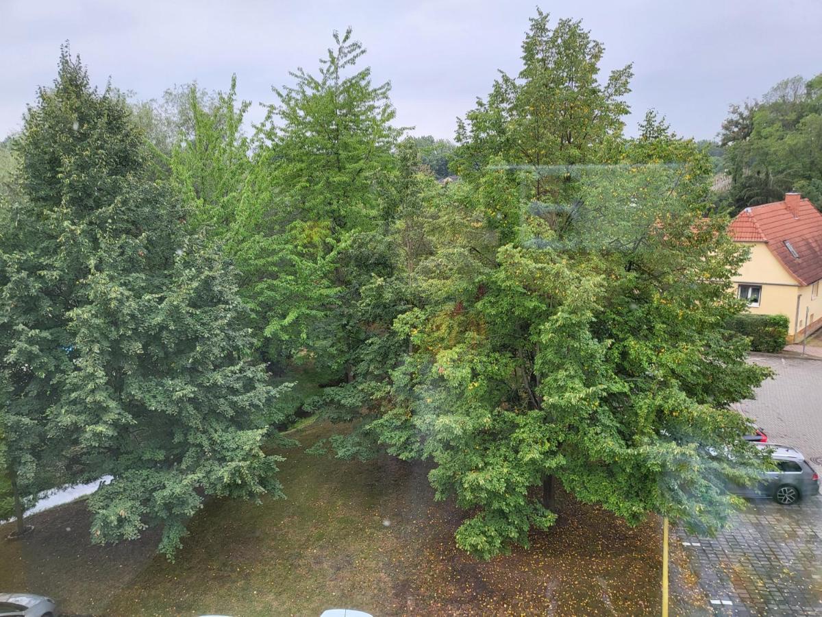 Exklusivwohnung Bad Duerrenberg Exteriér fotografie